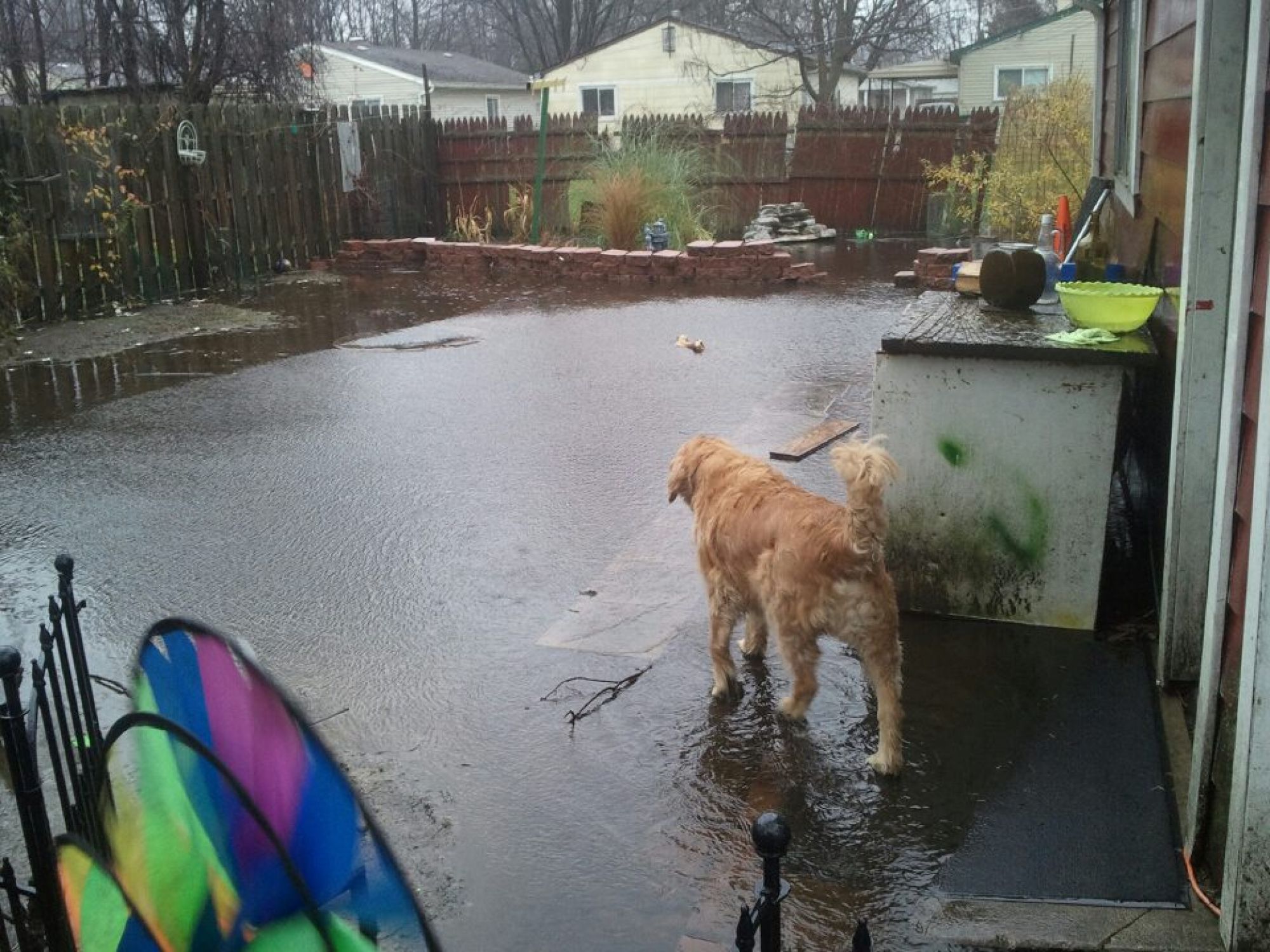 My underwater backyard