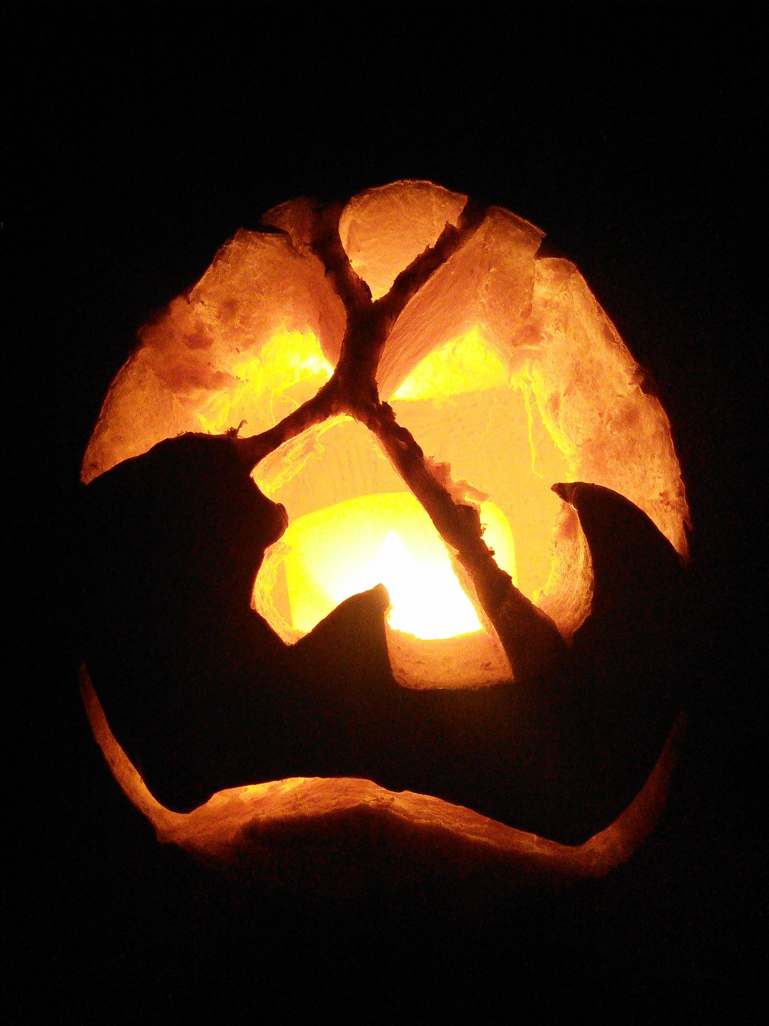 My unique pumpkin!