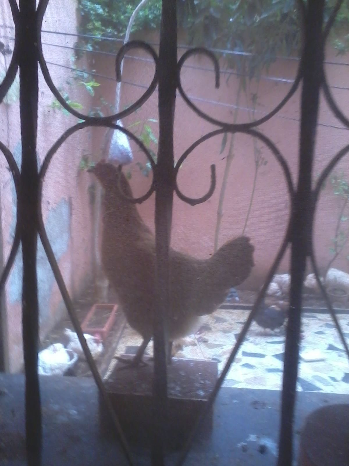 My view!
