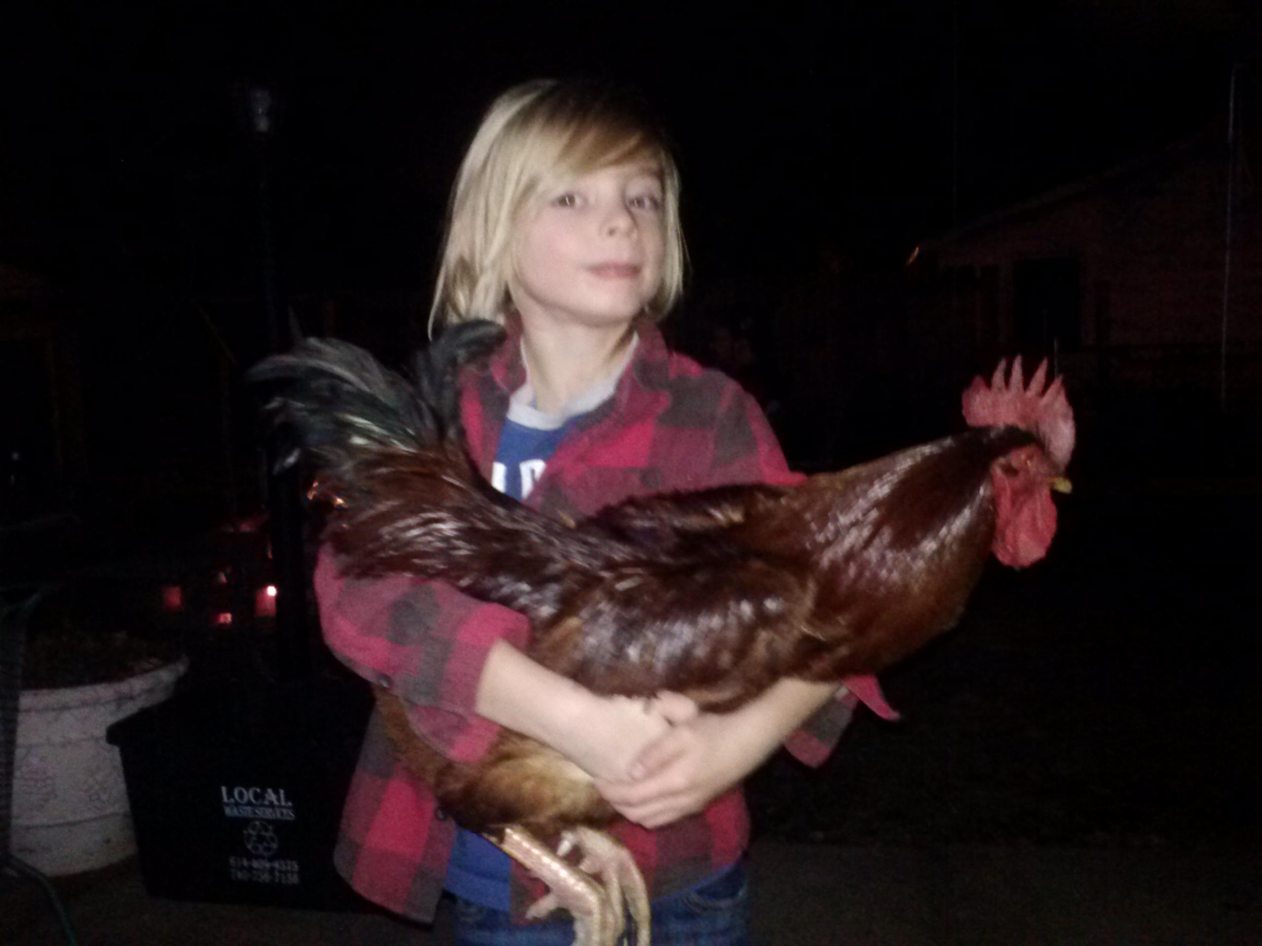 my youngest Boy And His Buddy Totoro The Rooster