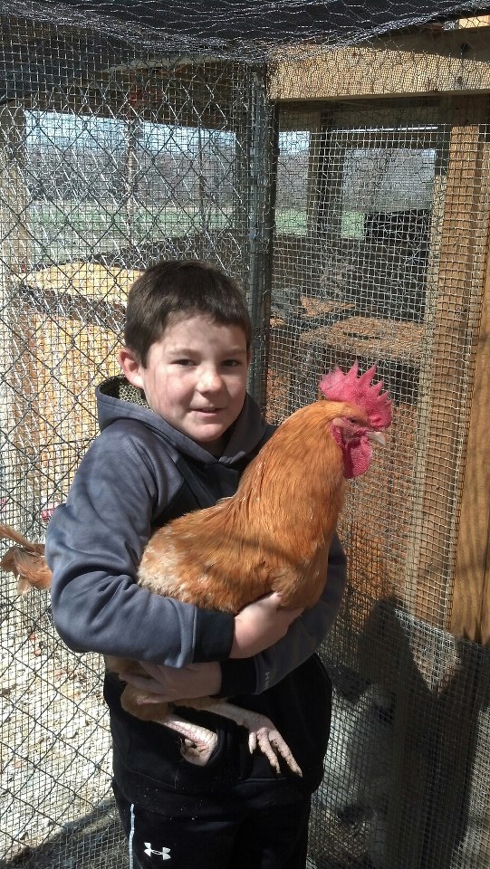 *
My youngest son with our rooster Browning