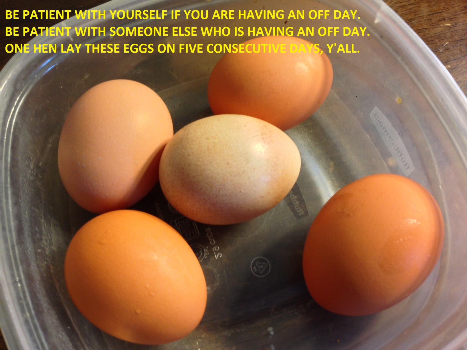 Myrtle the Boston Red lay these 5 eggs on 5 consecutive days.  And the day before was a darker brown.   The one in the middle has a stripe on it.