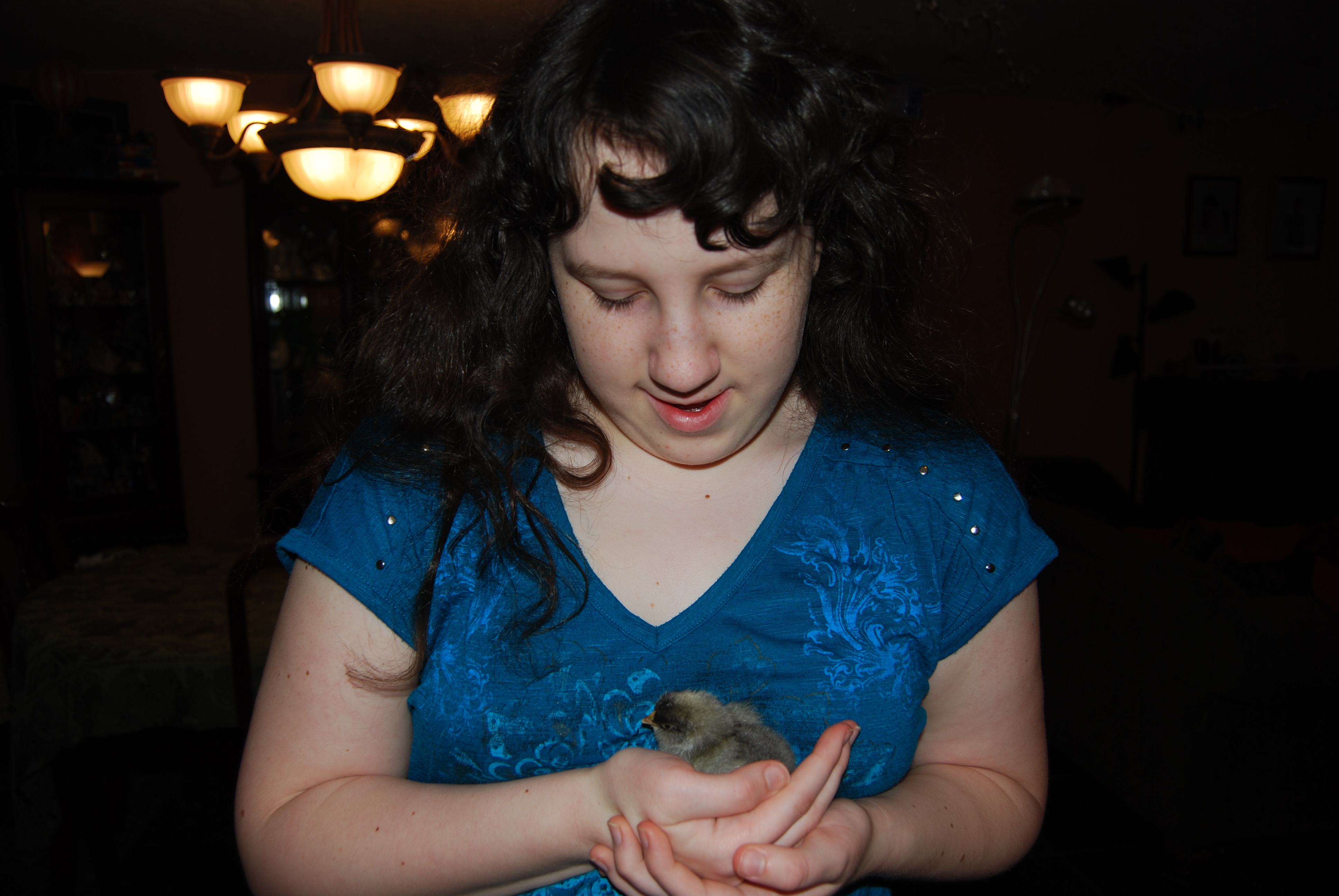 Named Bandit due to her cute mask of darker grey as a chick.