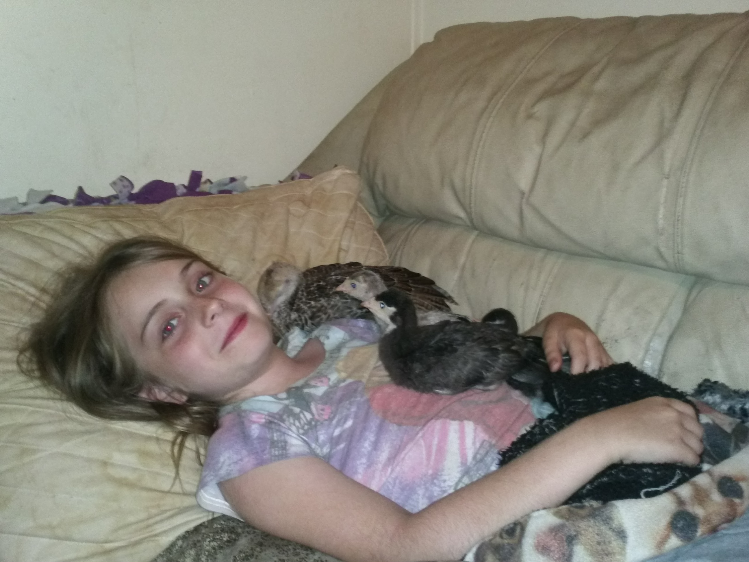 Nap time with the turkeys