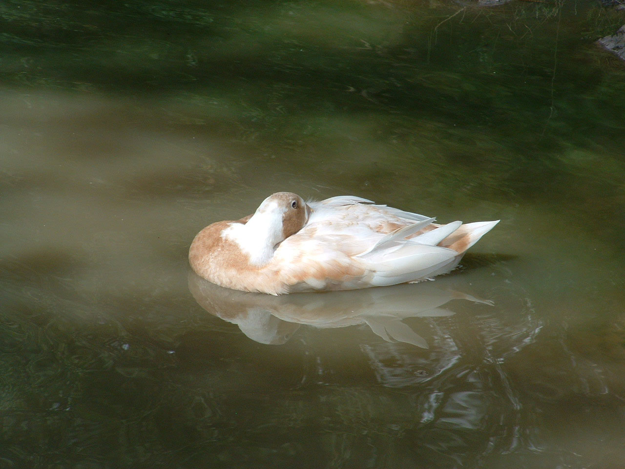 Nap time.