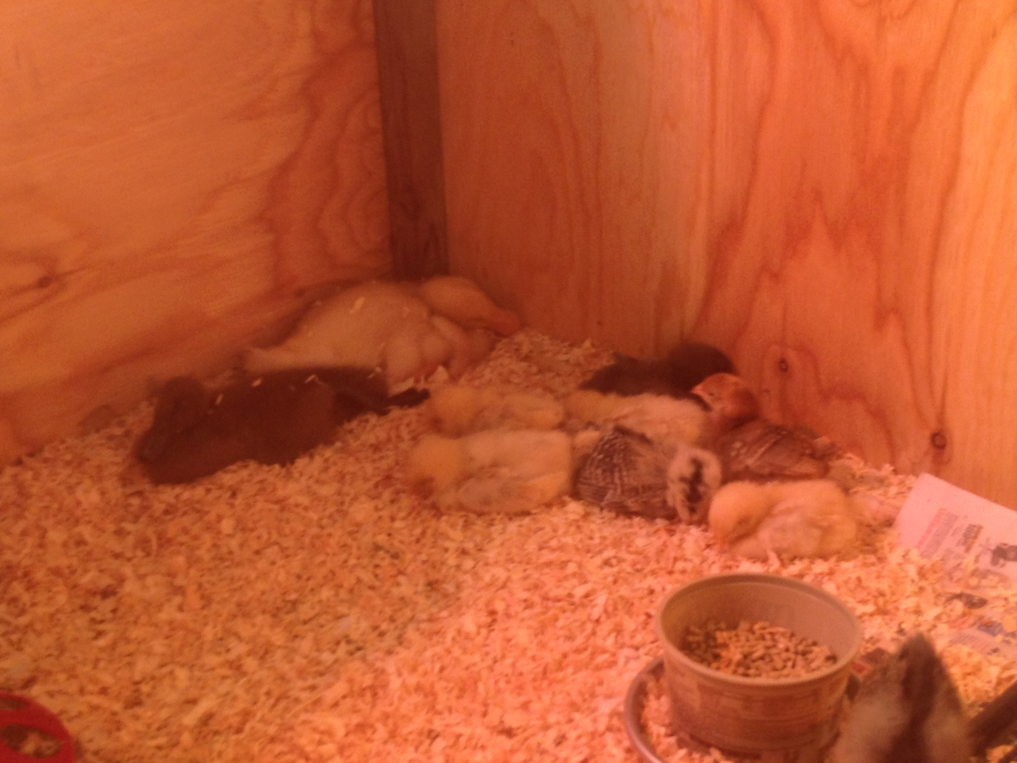 Nap time