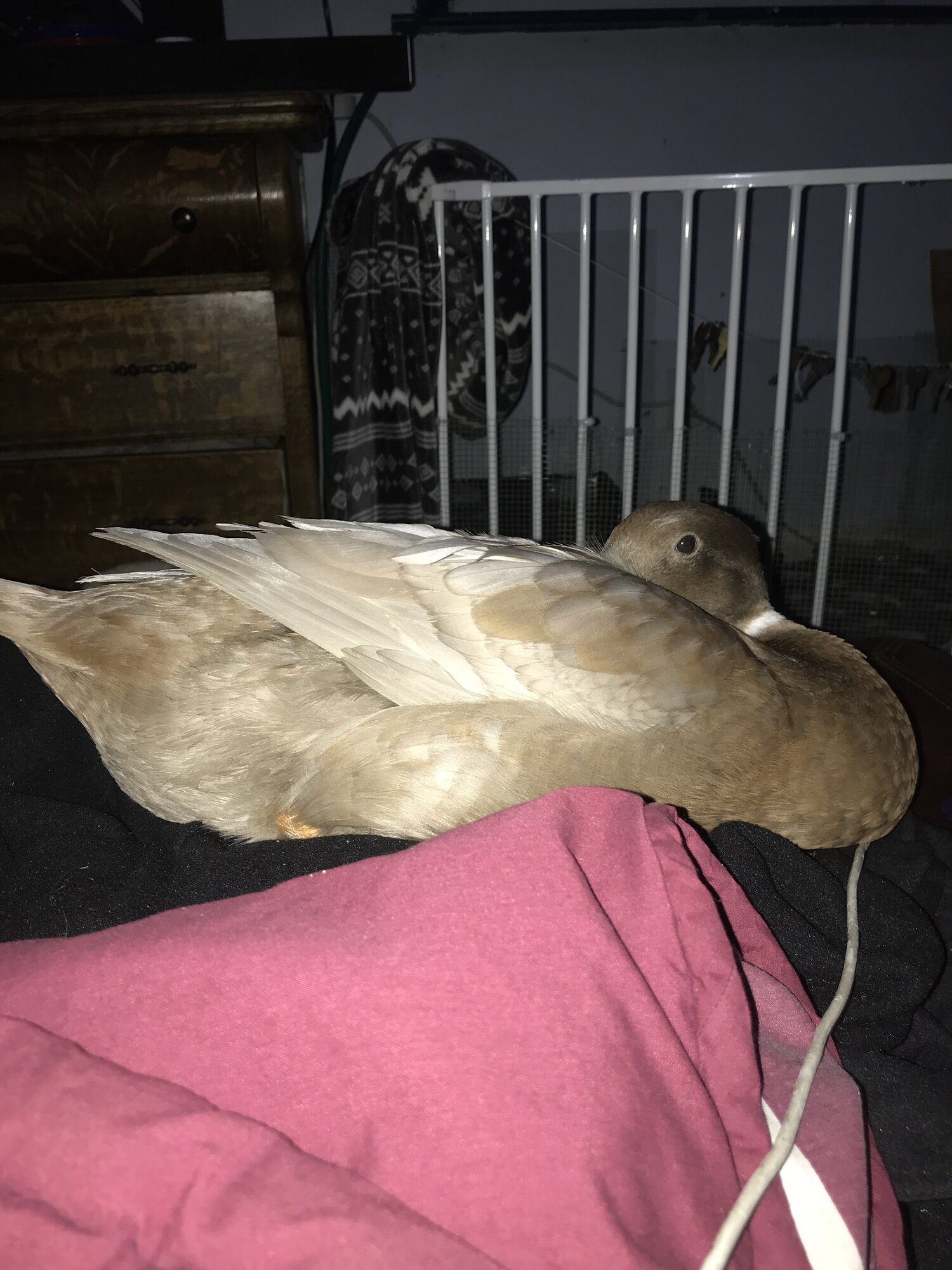 Nap time!
