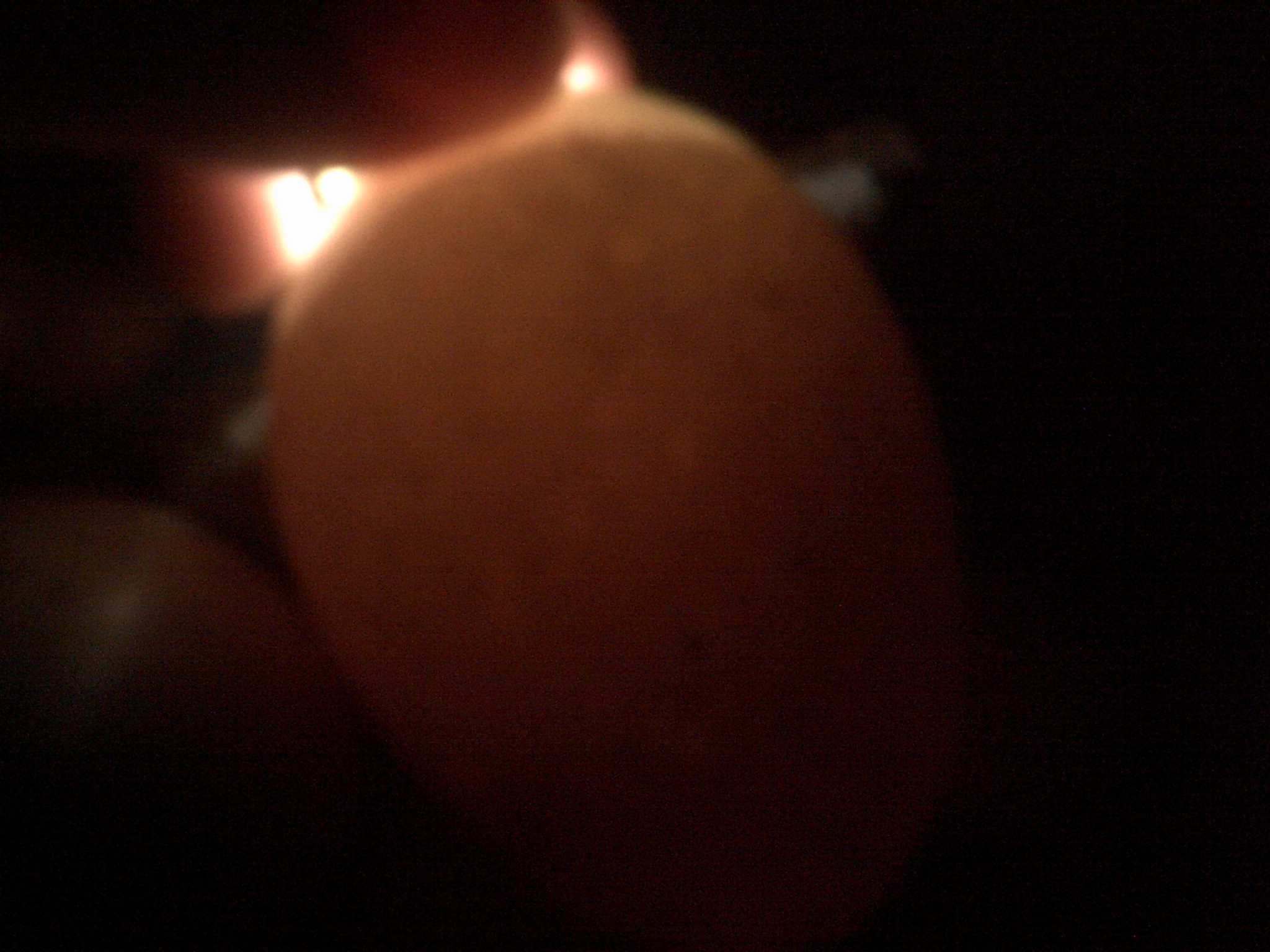 natt turkey eggs