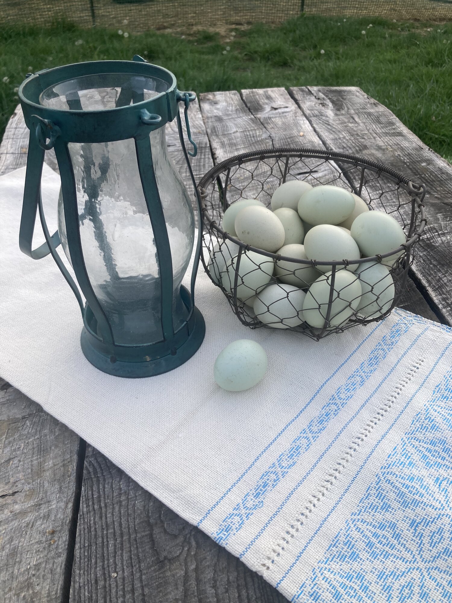 Natural Egg Photo Contest—16th Annual 106.jpg
