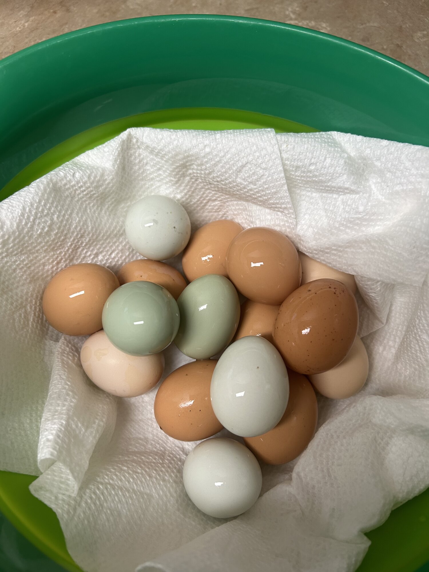 Natural Egg Photo Contest—16th Annual 18.jpg