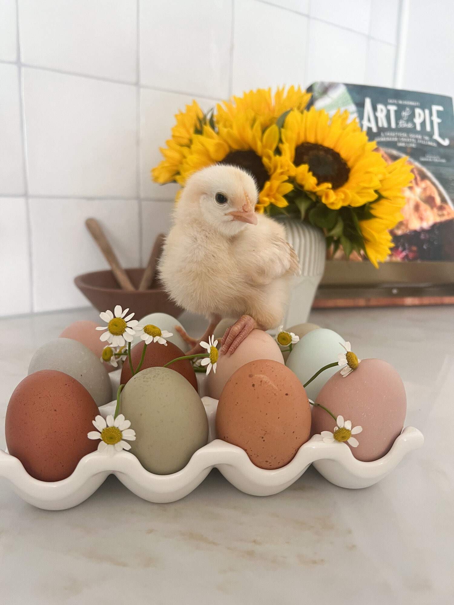 Natural Egg Photo Contest—16th Annual 2.jpg