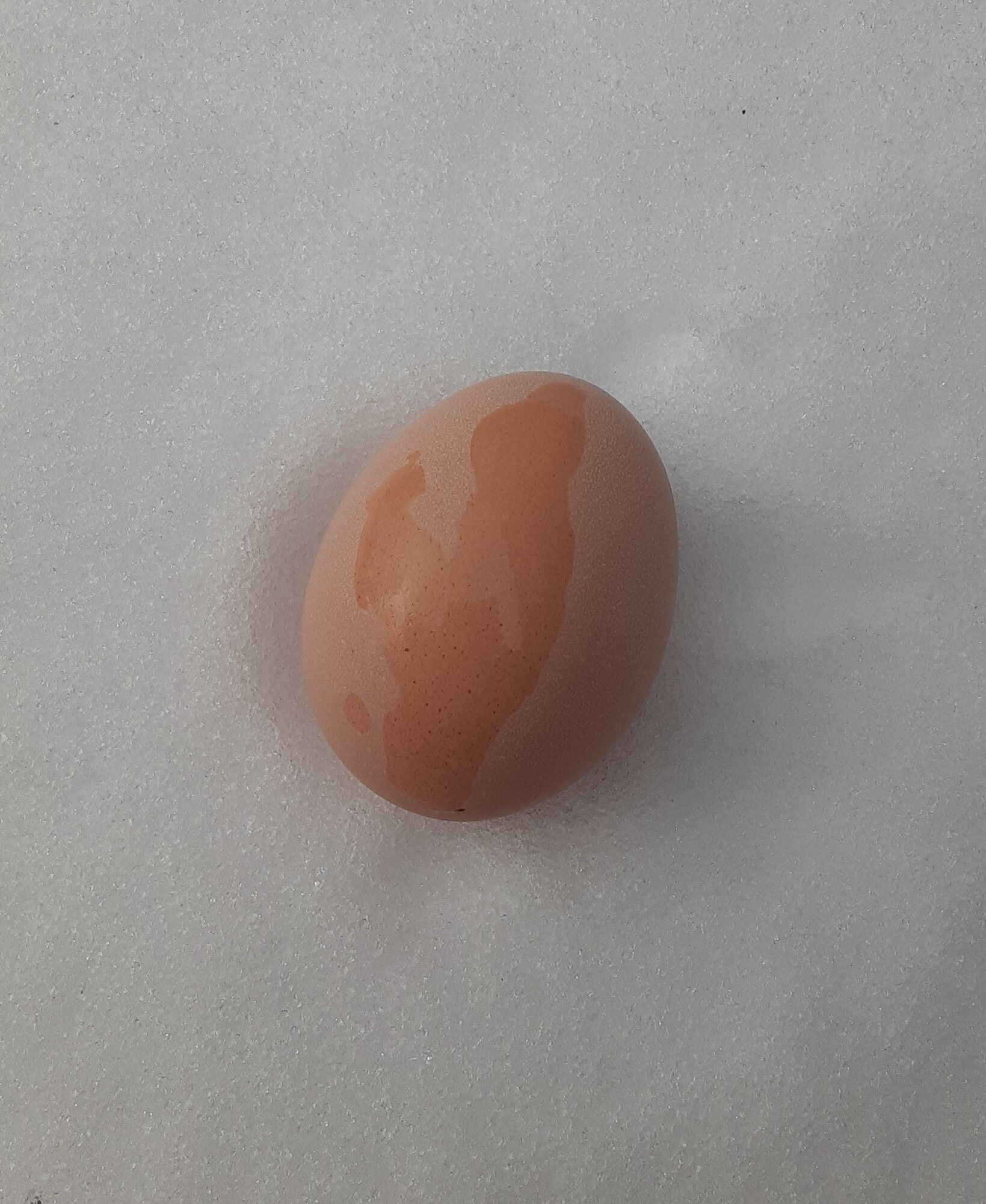 Natural Egg Photo Contest—16th Annual 20.jpg