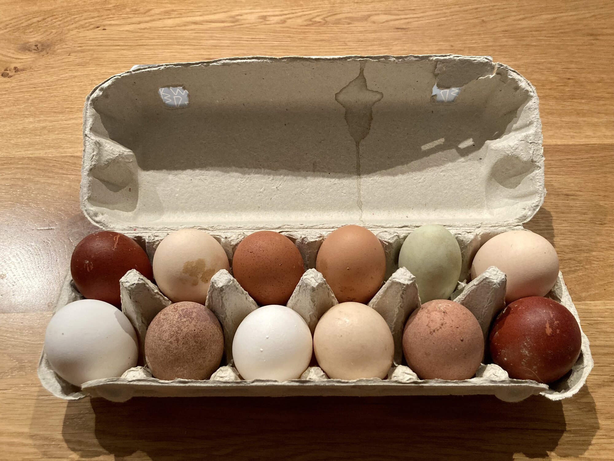 Natural Egg Photo Contest—16th Annual 37.jpg