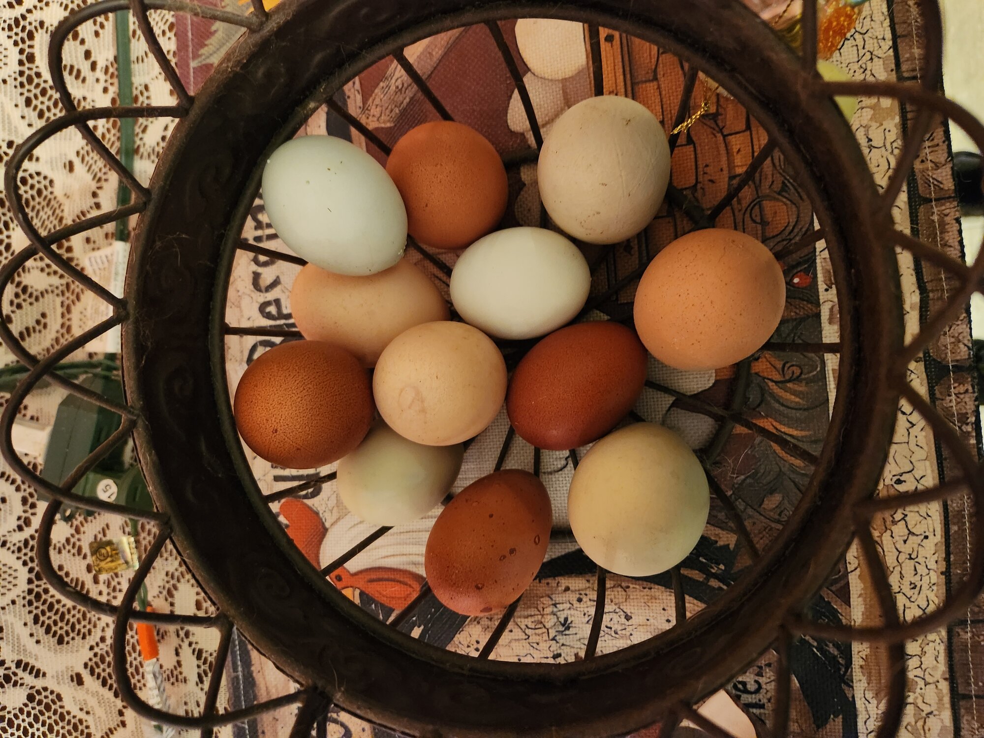 Natural Egg Photo Contest—16th Annual 39.jpg