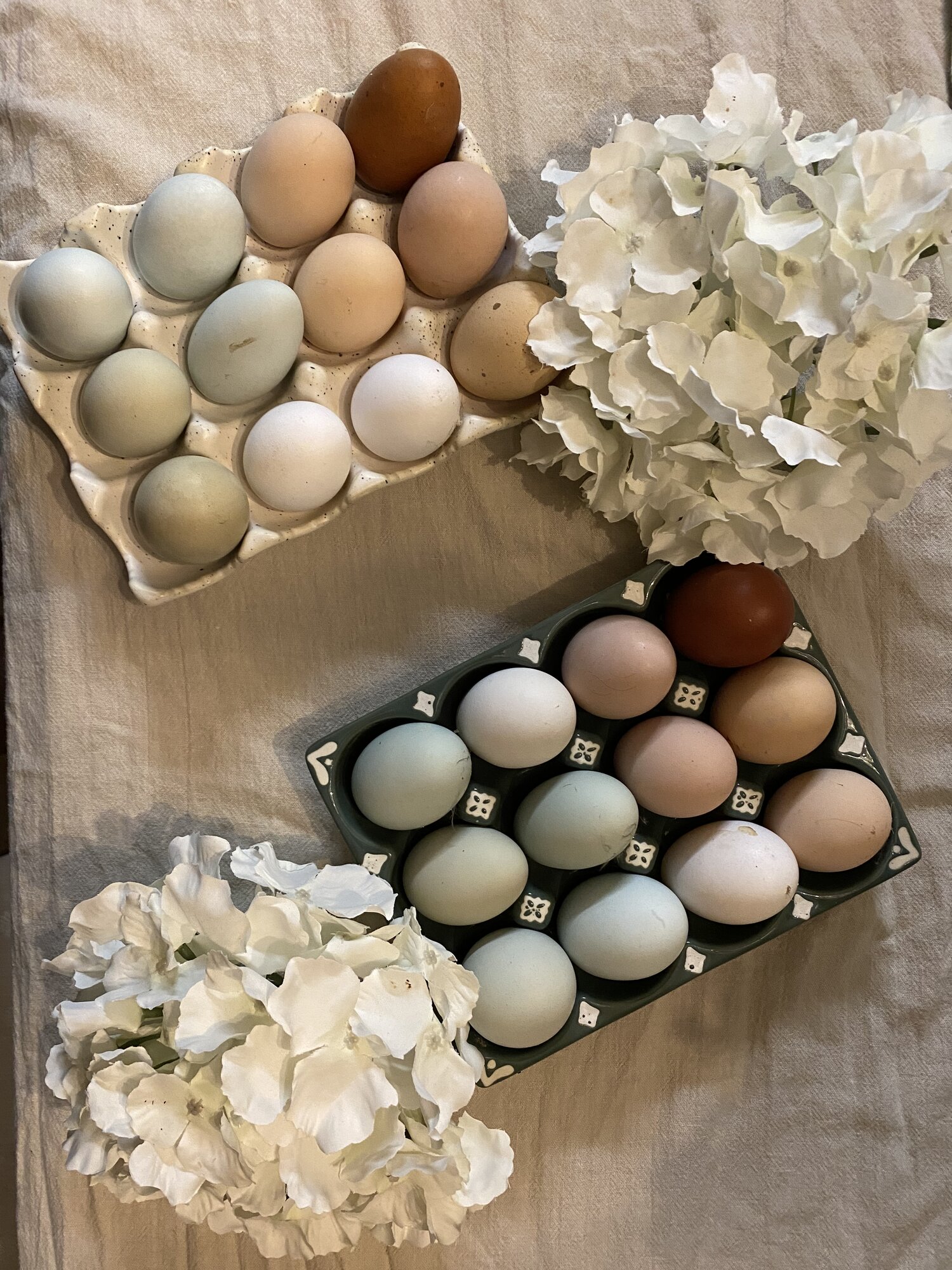 Natural Egg Photo Contest—16th Annual 40.jpg