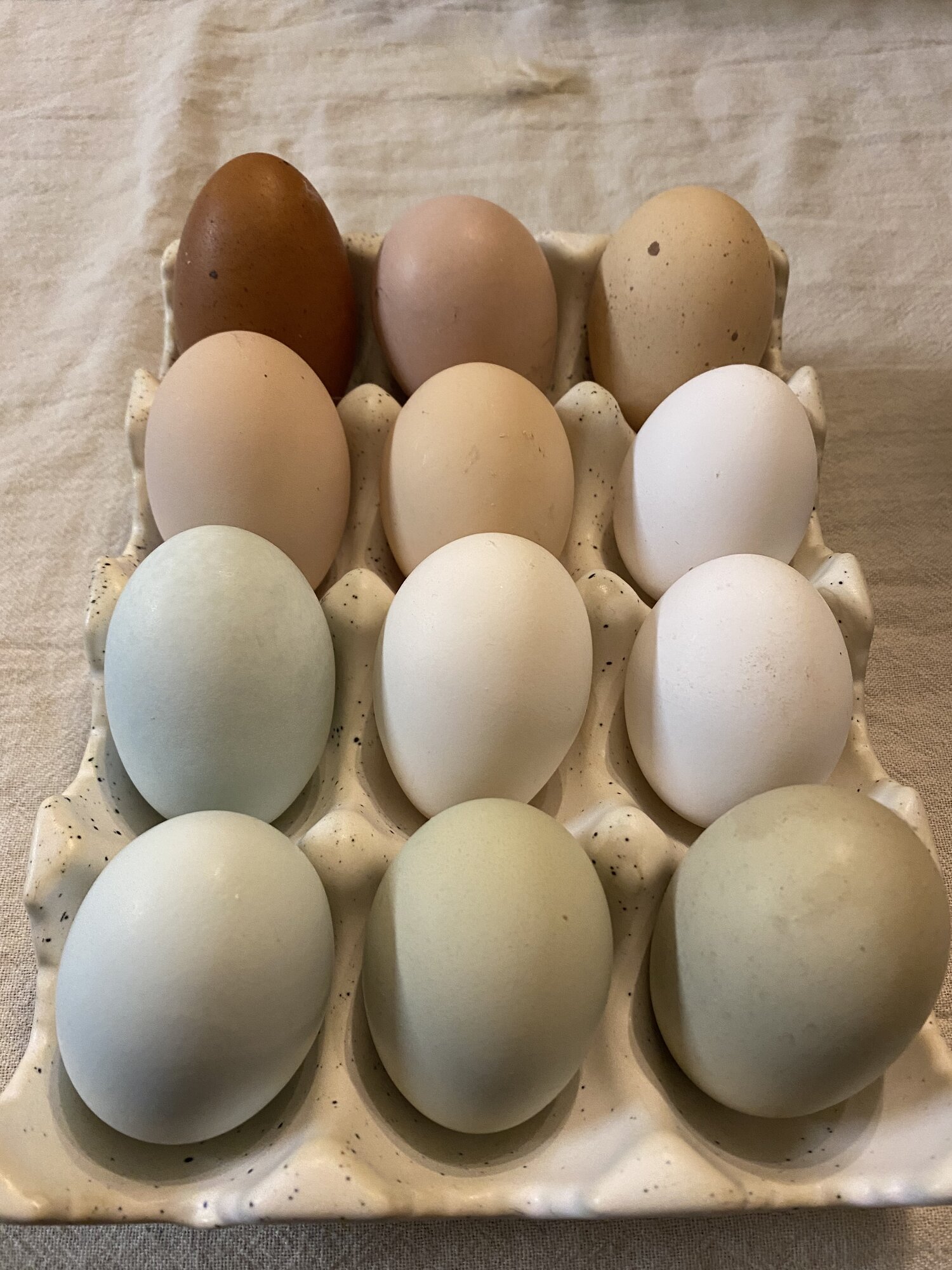 Natural Egg Photo Contest—16th Annual 42.jpg