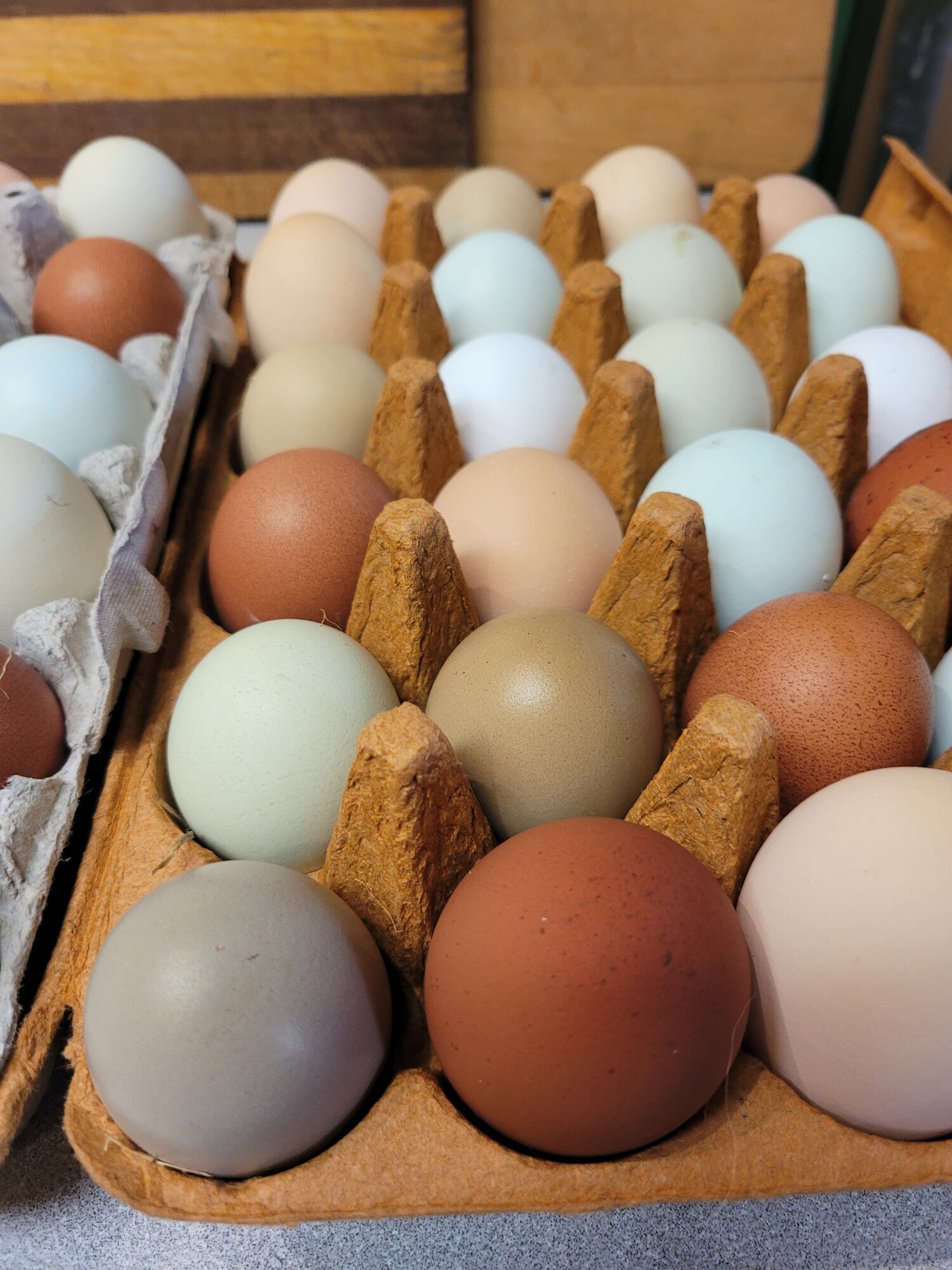 Natural Egg Photo Contest—16th Annual 5.jpg