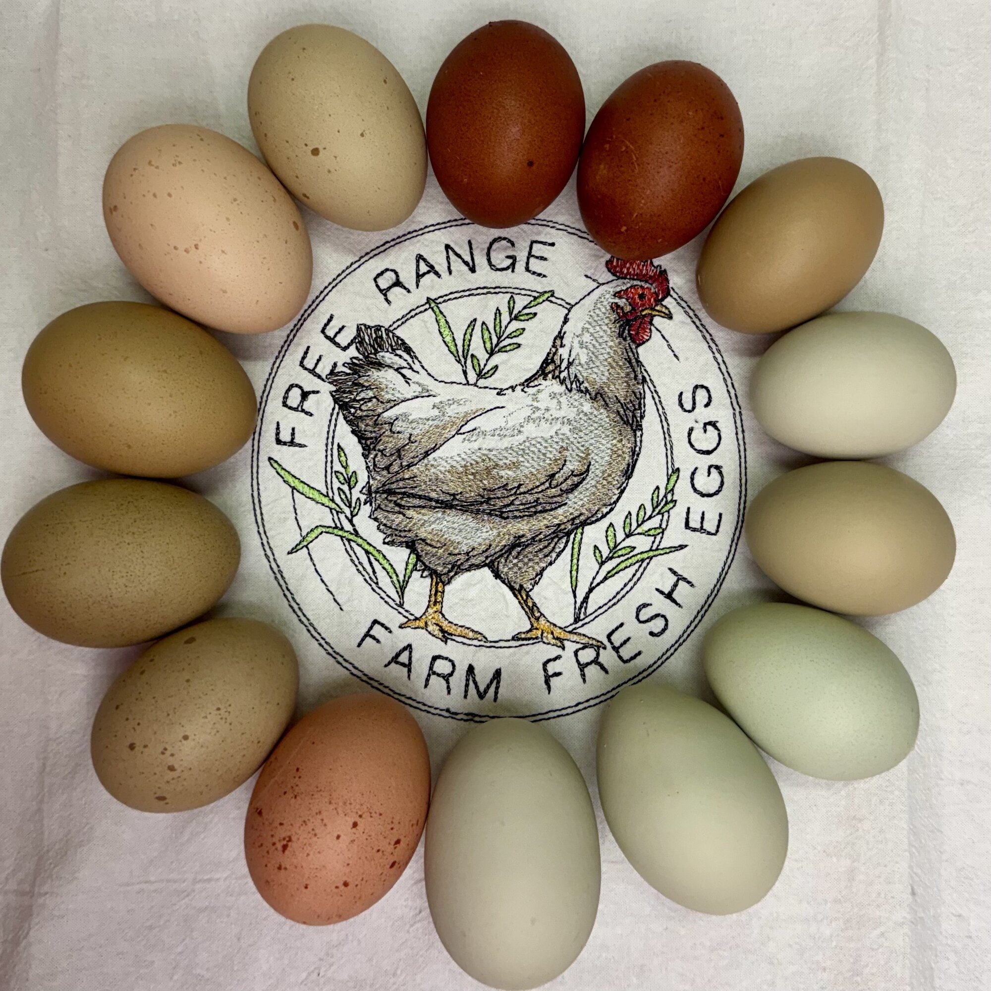 Natural Egg Photo Contest—16th Annual 61.jpg