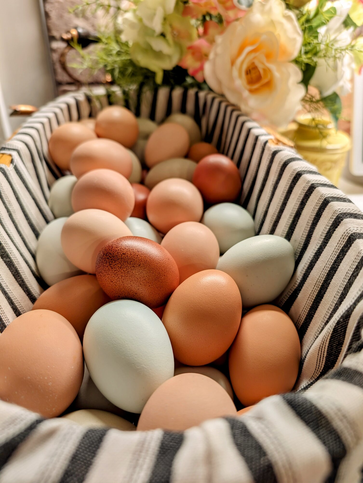 Natural Egg Photo Contest—16th Annual 64.jpg