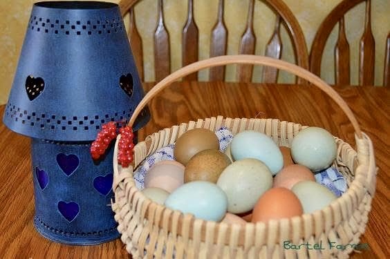 Natural Egg Photo Contest—16th Annual 69.jpg