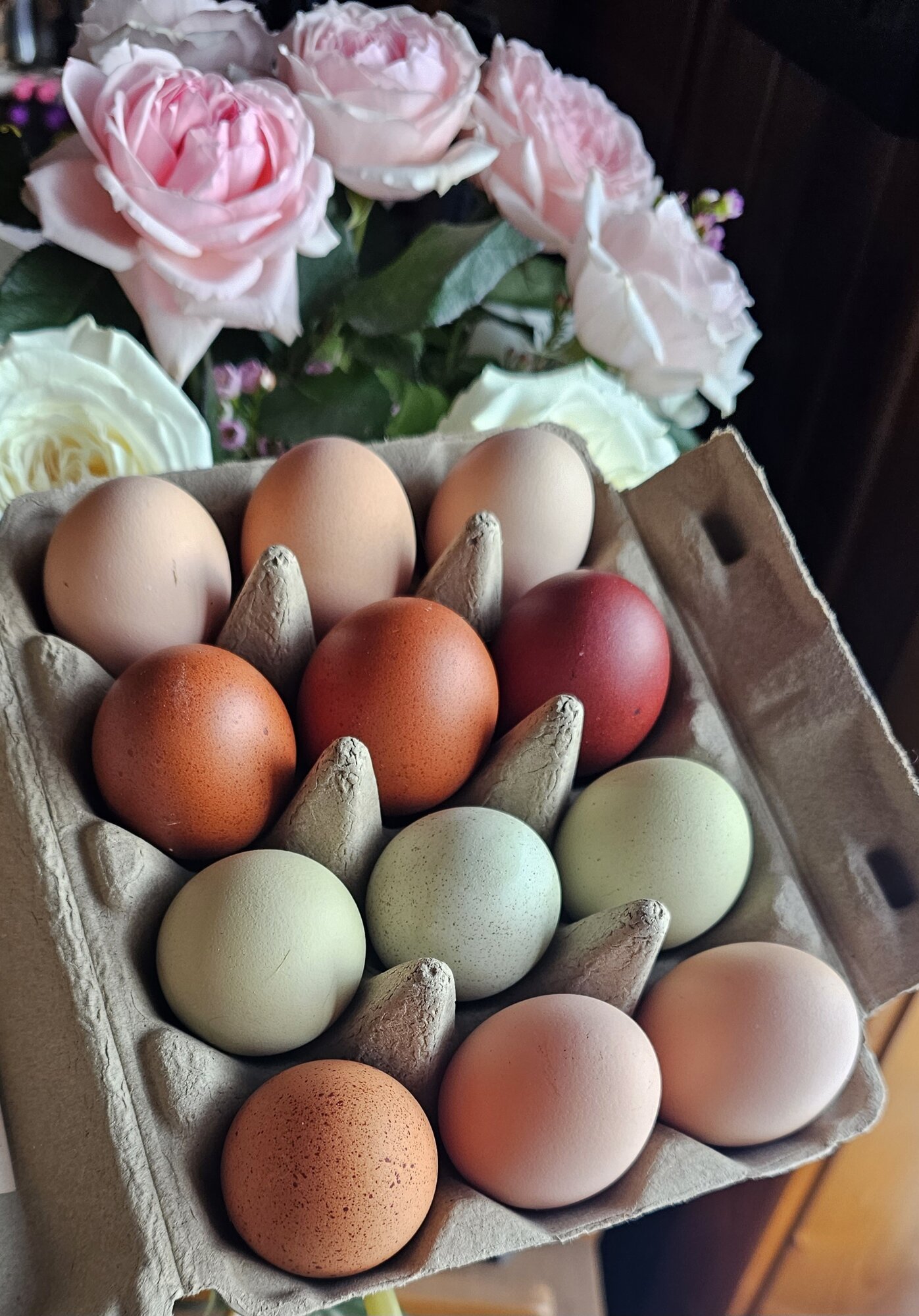 Natural Egg Photo Contest—16th Annual 8.jpg