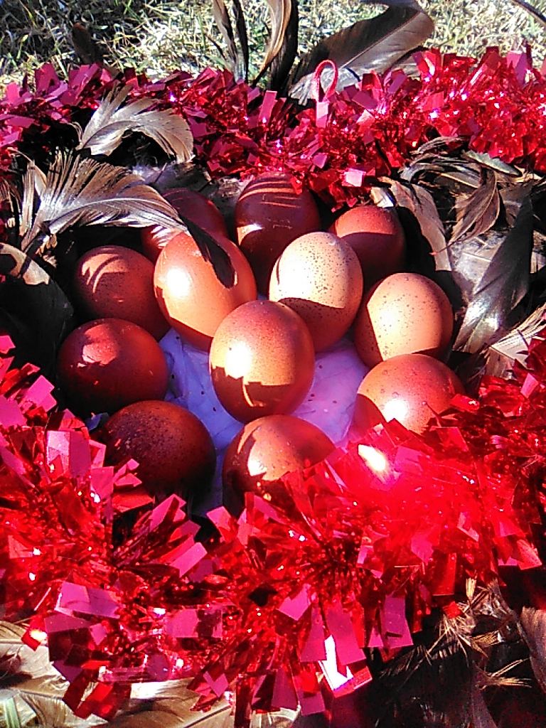 Natural Egg Photo Contest—16th Annual 98.jpg
