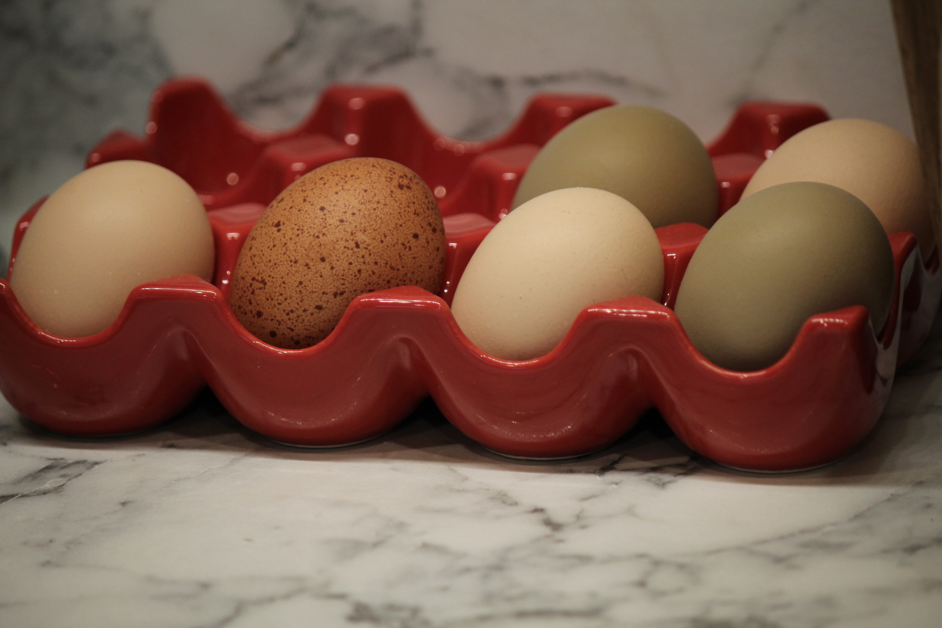 Natural Egg Photo Contest 14.jpg