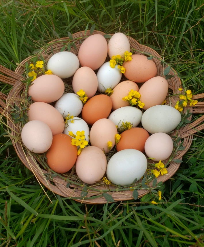 Natural Egg Photo Contest 15.jpg