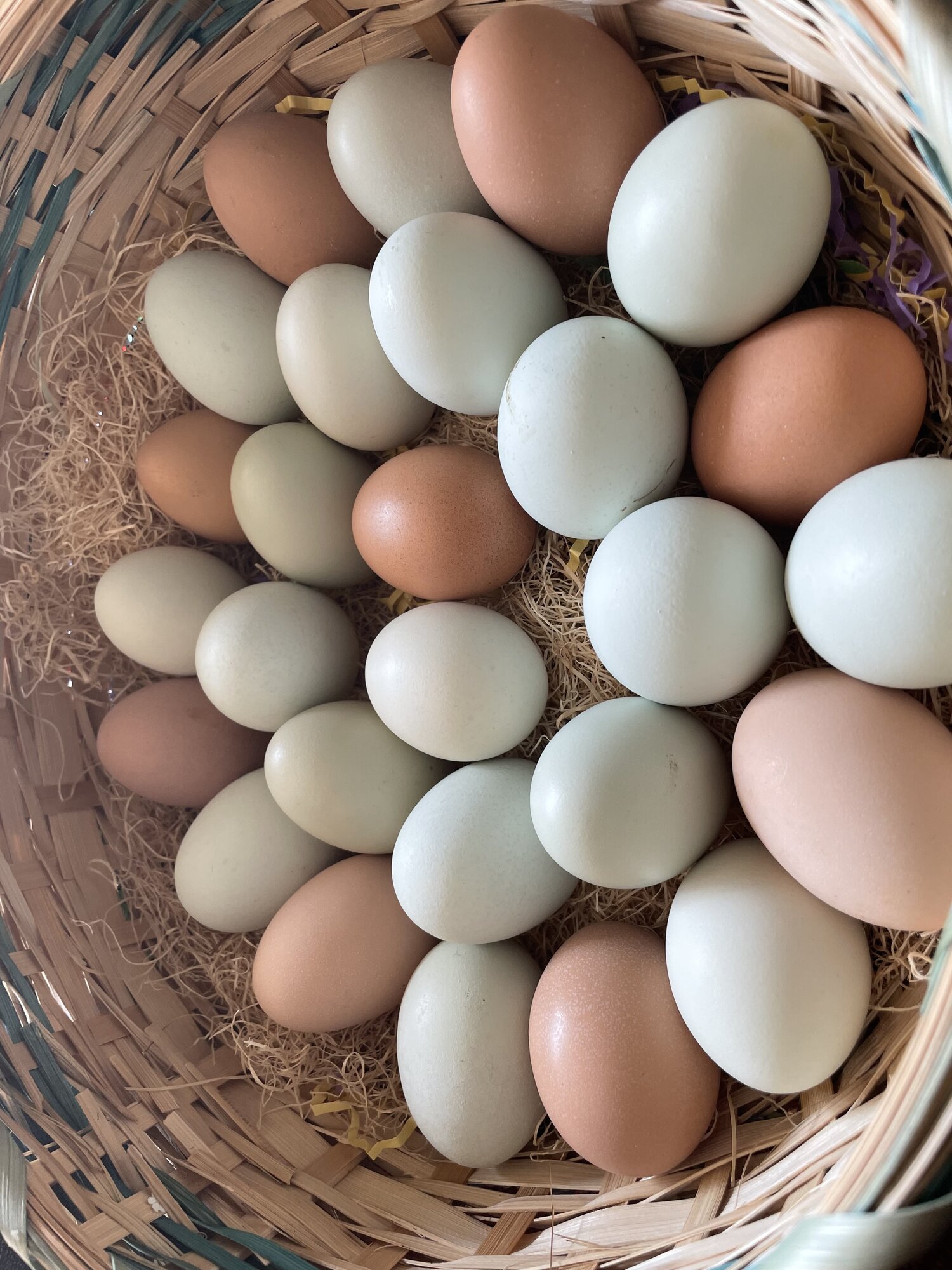 Natural Egg Photo Contest 17.jpg