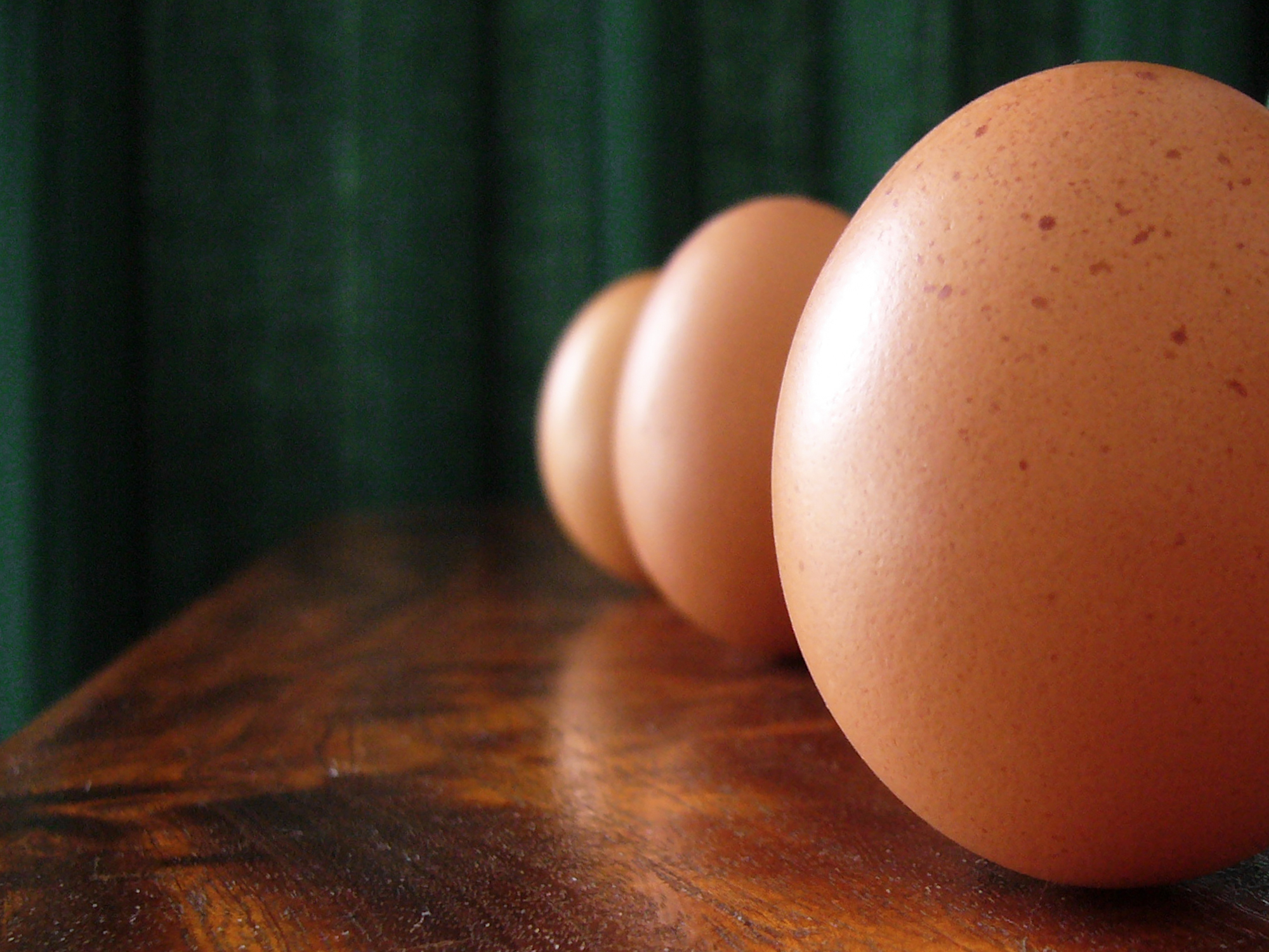 Natural Egg Photo Contest 19.jpg