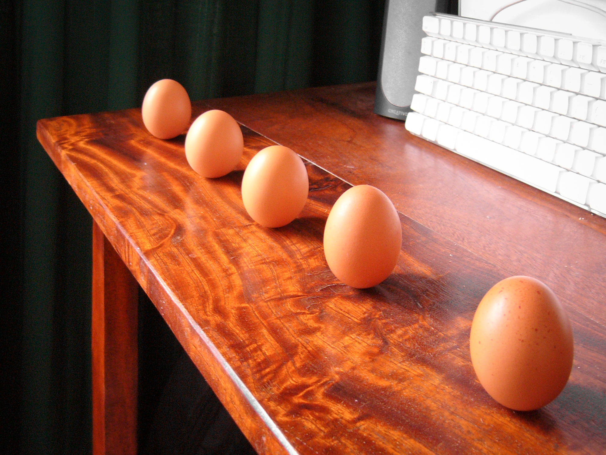Natural Egg Photo Contest 20.jpg