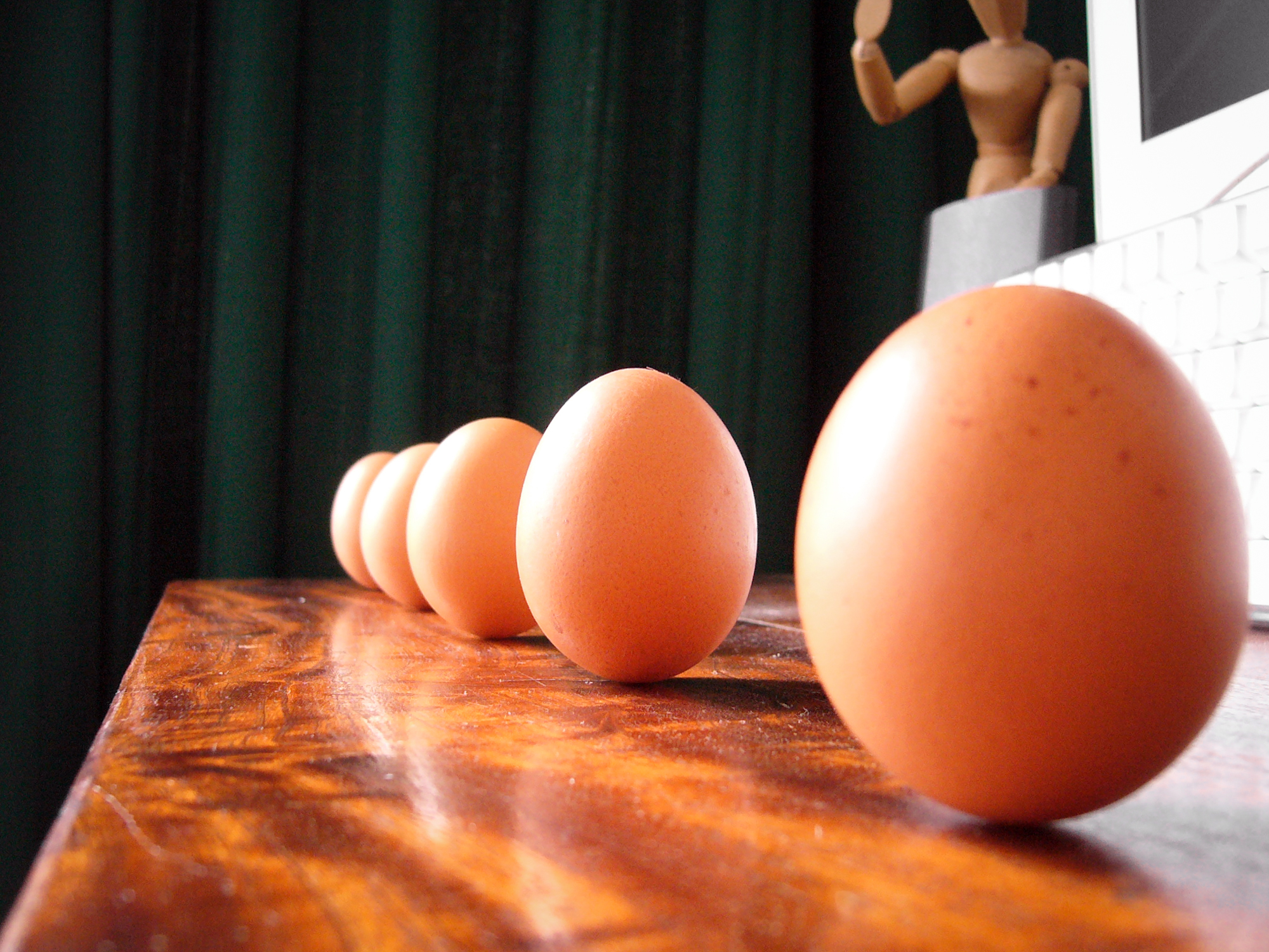 Natural Egg Photo Contest 22.jpg