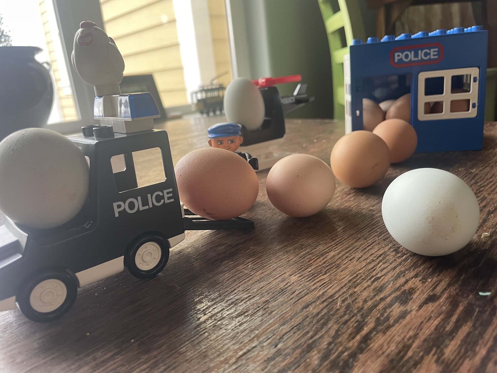Natural Egg Photo Contest 24.jpg