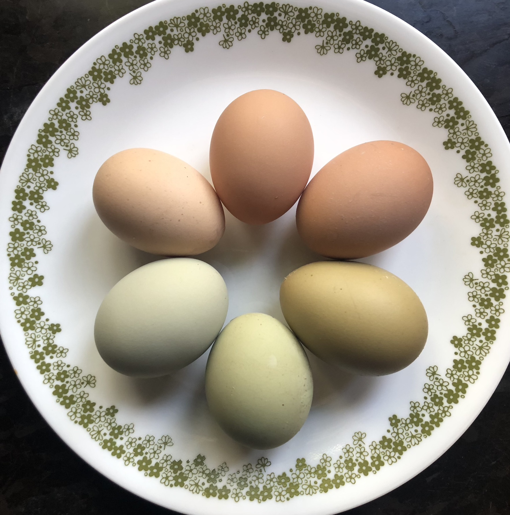Natural Egg Photo Contest 32.jpg