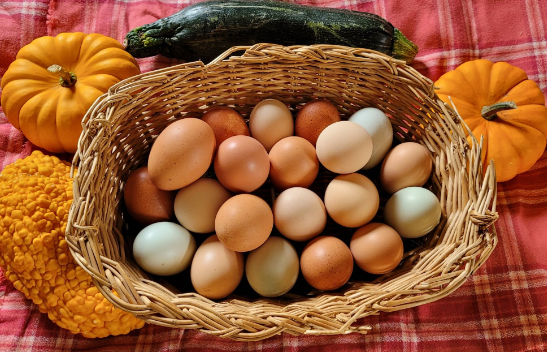 Natural Egg Photo Contest 4.png