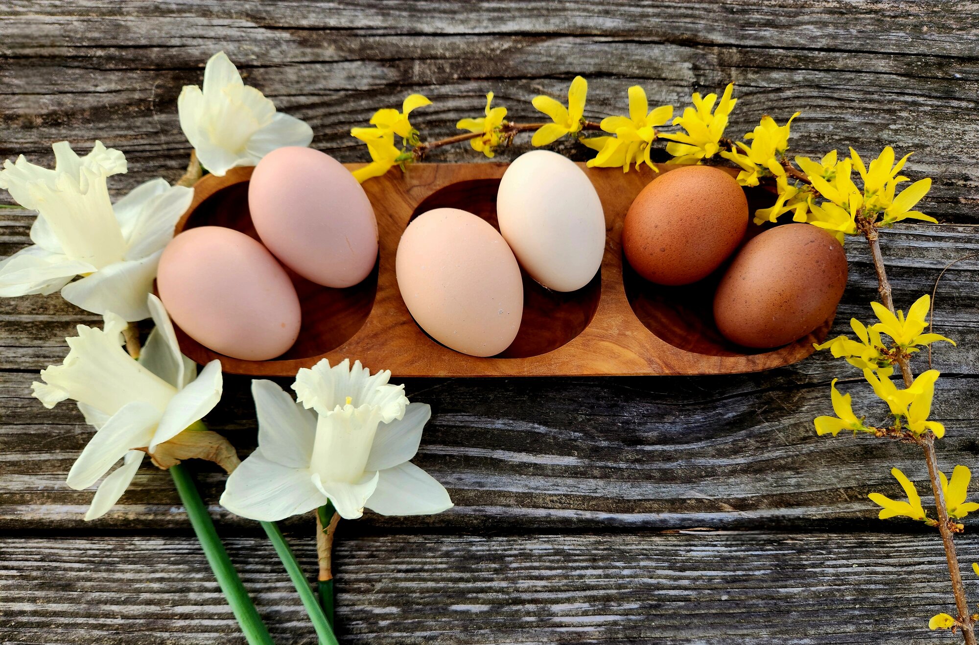 Natural Egg Photo Contest 51.jpg