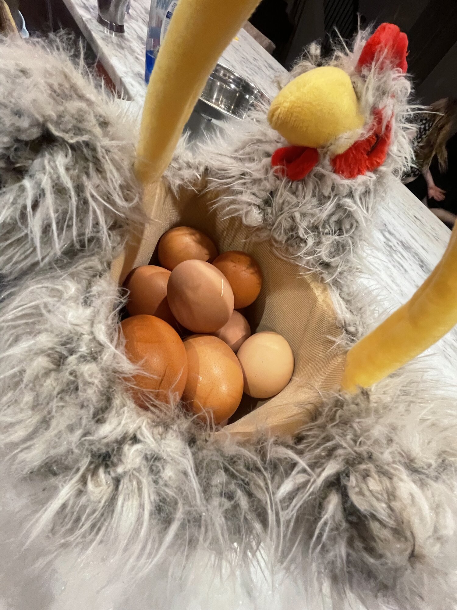 Natural Egg Photo Contest 52.jpg