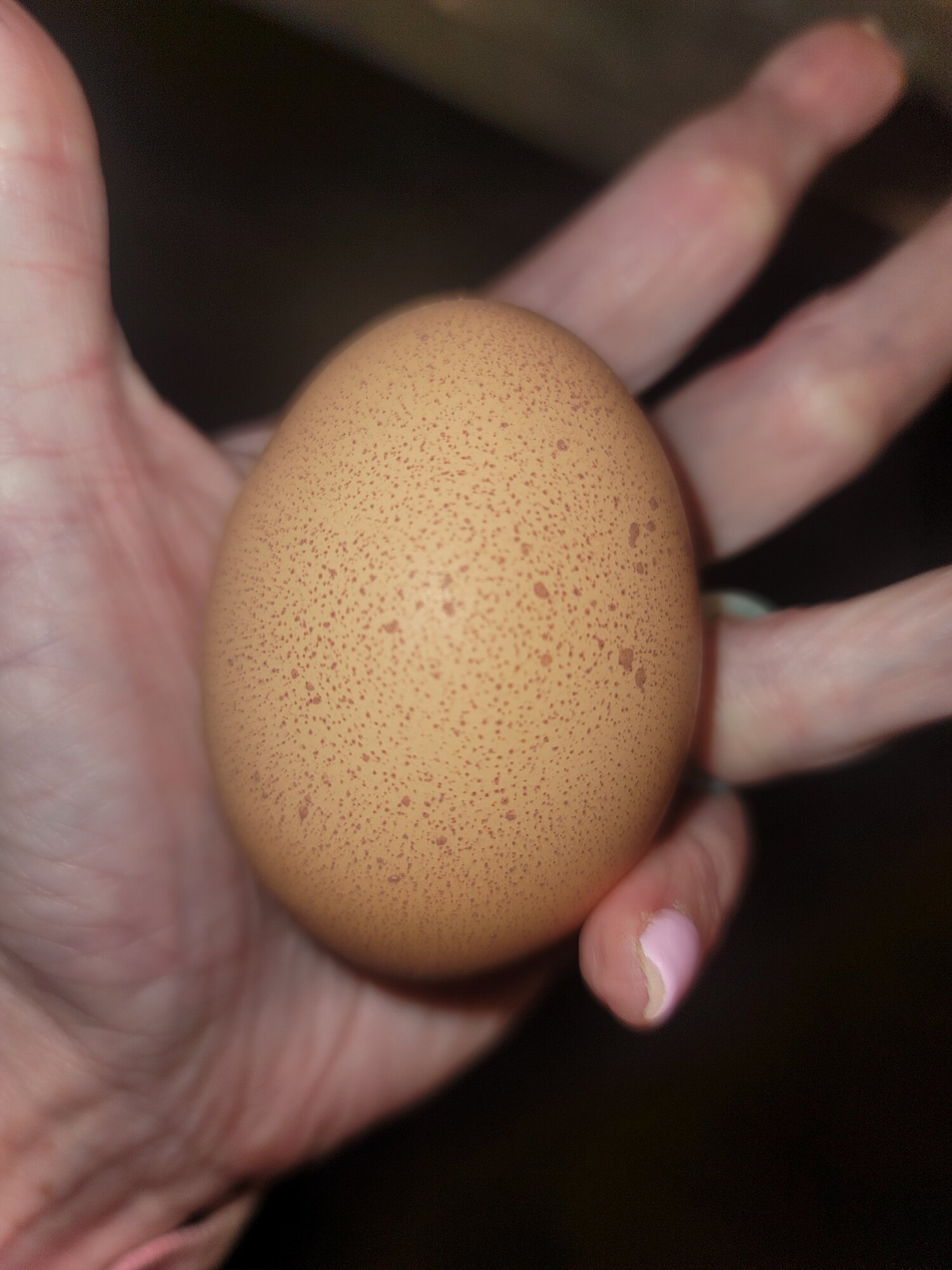 Natural Egg Photo Contest 67.jpg