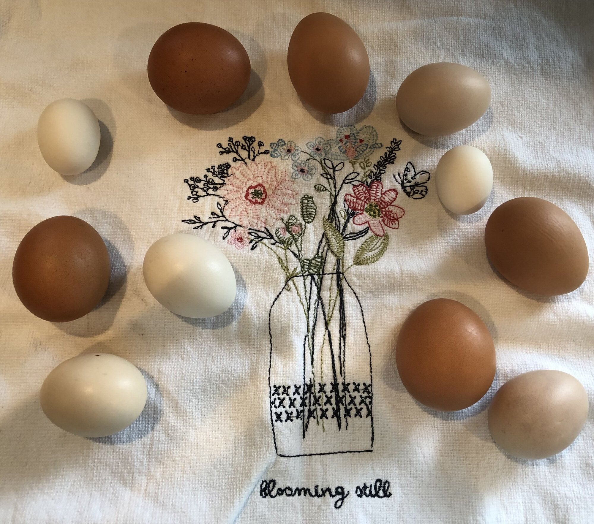 Natural Egg Photo Contest 71.jpg
