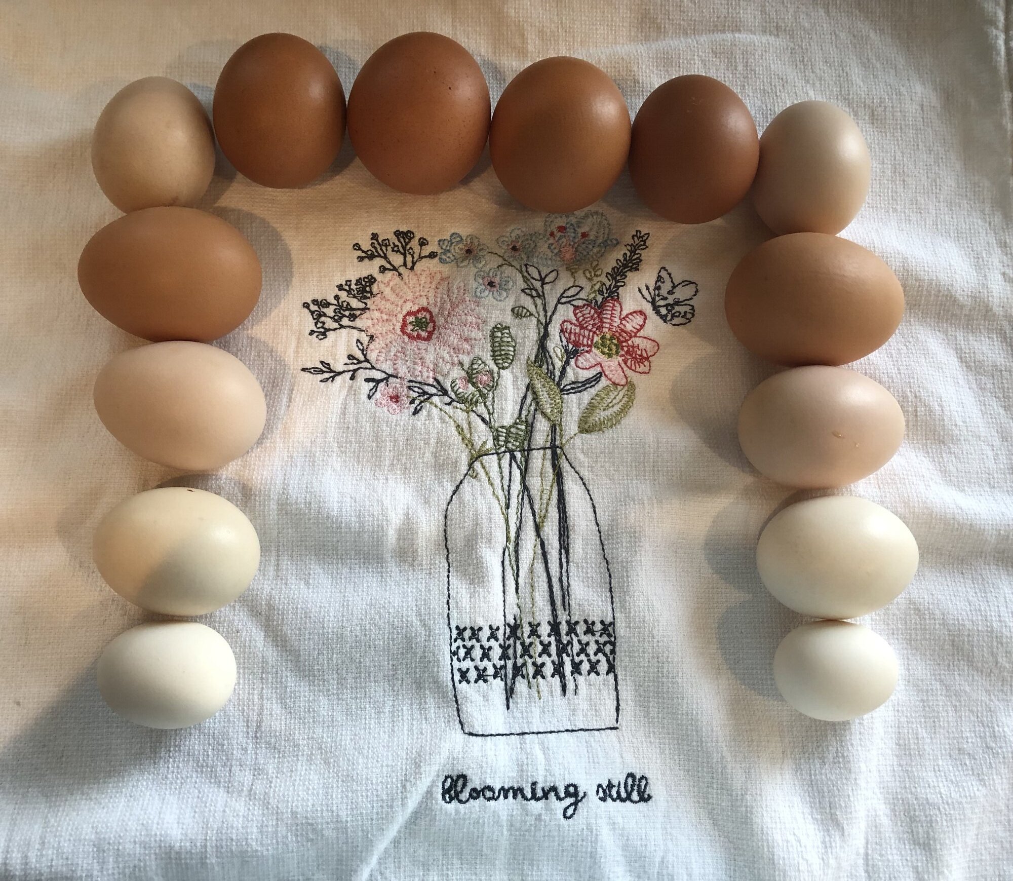 Natural Egg Photo Contest 72.jpg