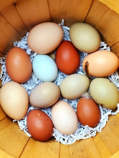Natural Egg Photo Contest 82.jpg