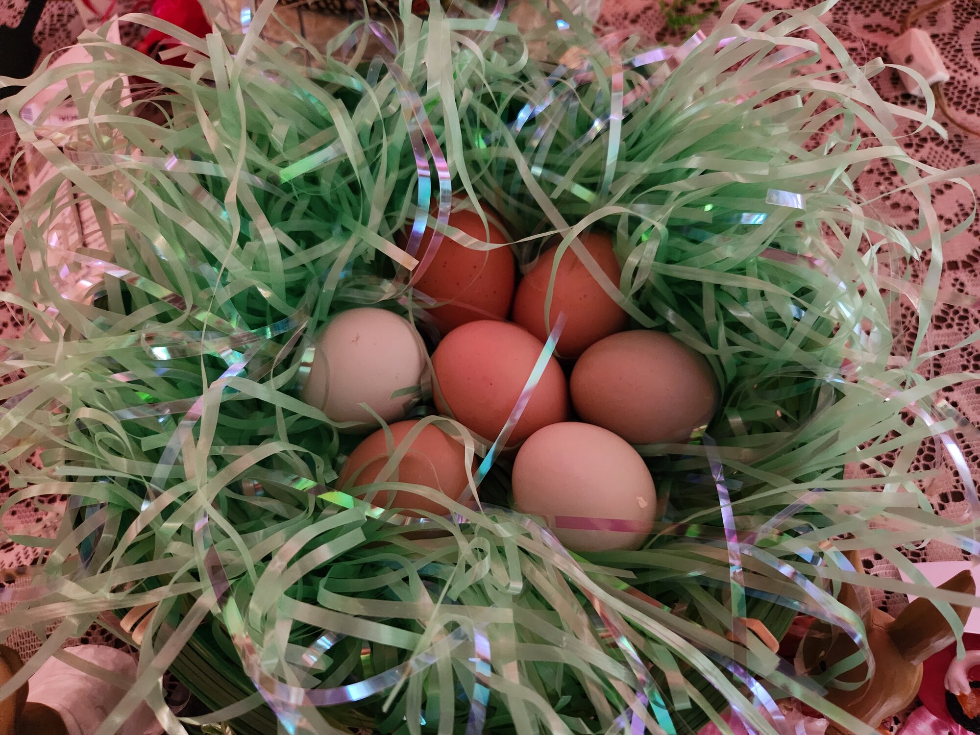 Natural Egg Photo Contest 9.jpg