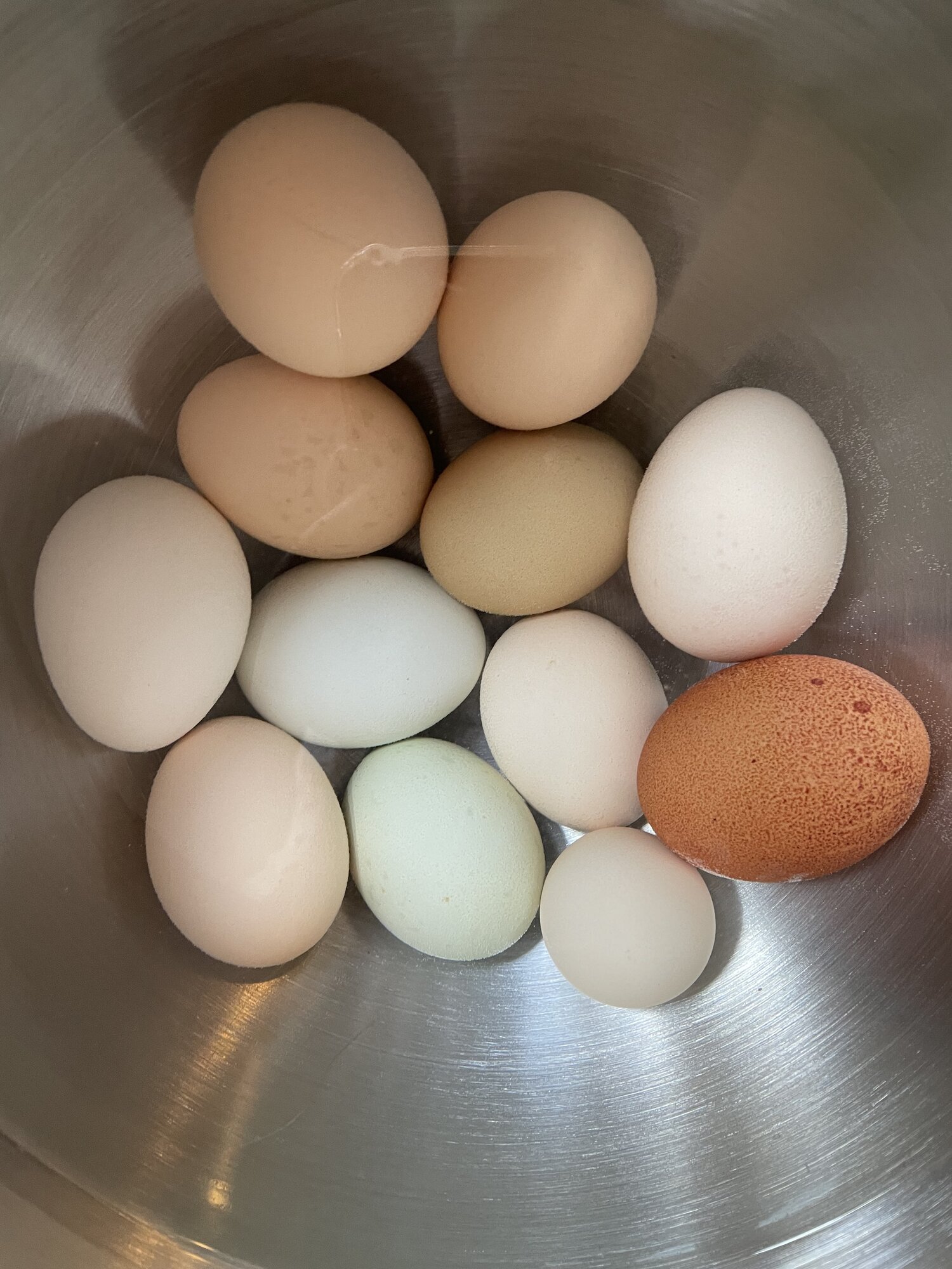 Natural Egg Photo Contest 91.jpg