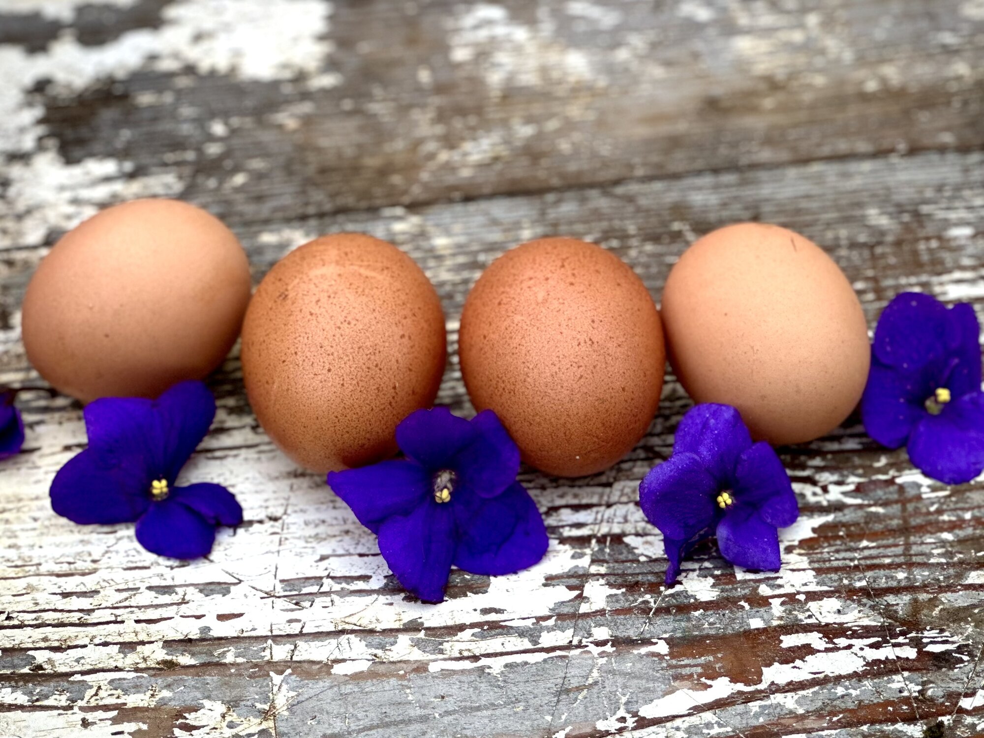 Natural Egg Photo Contest 98.jpg