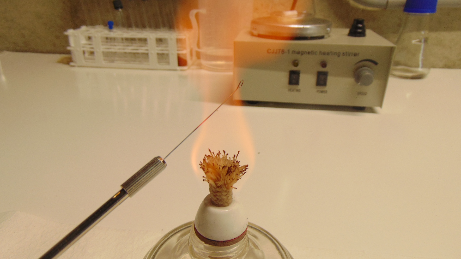 Needle being flamed before inoculation