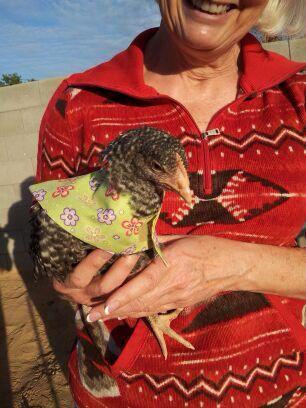 Nellie wore capes, too