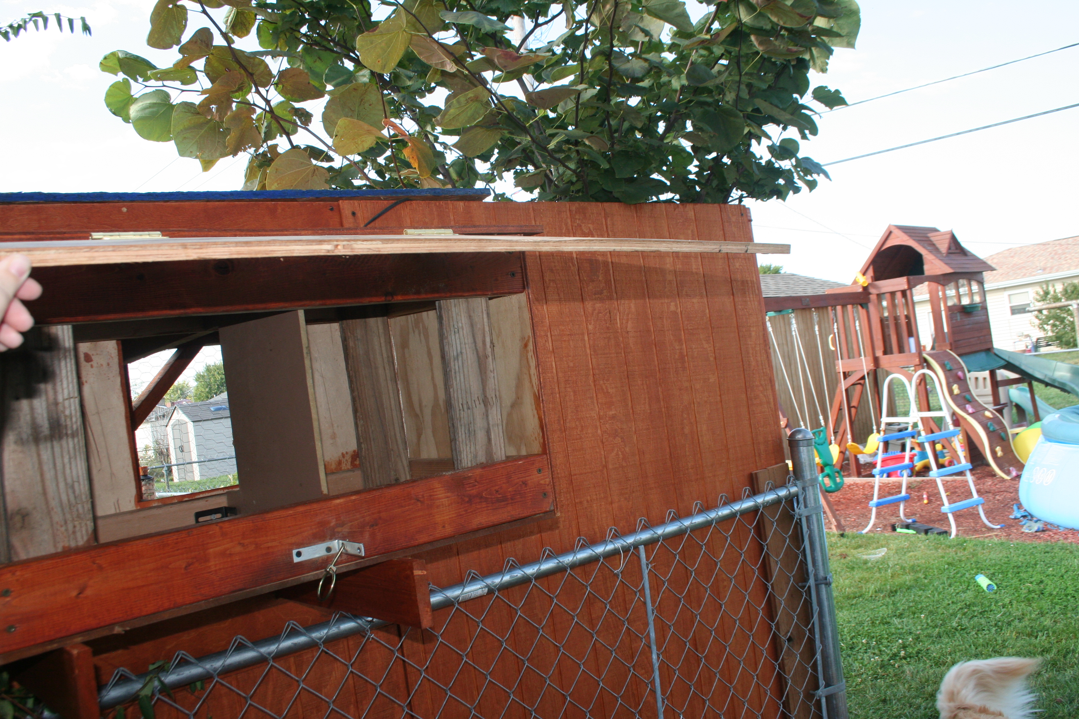 Nest box access