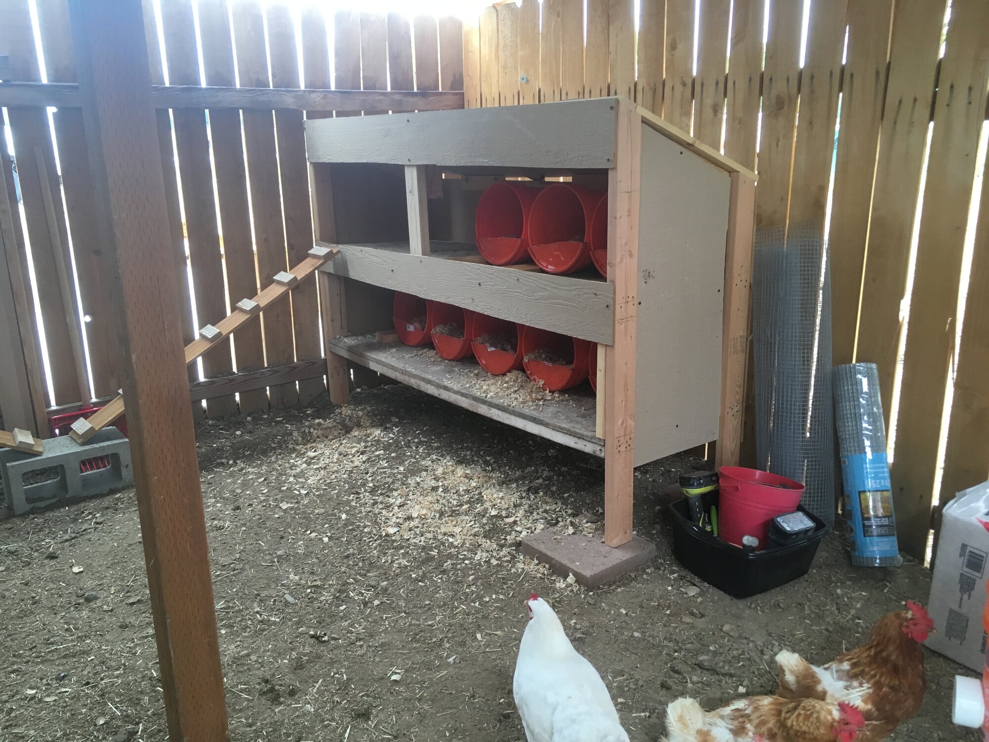 Nest box