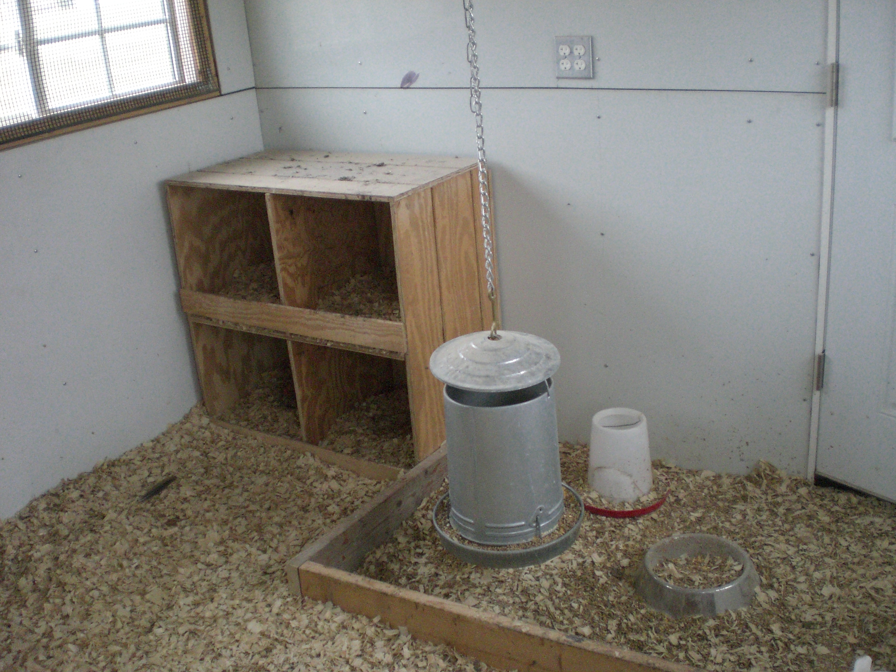nest boxes and indoor feed area.