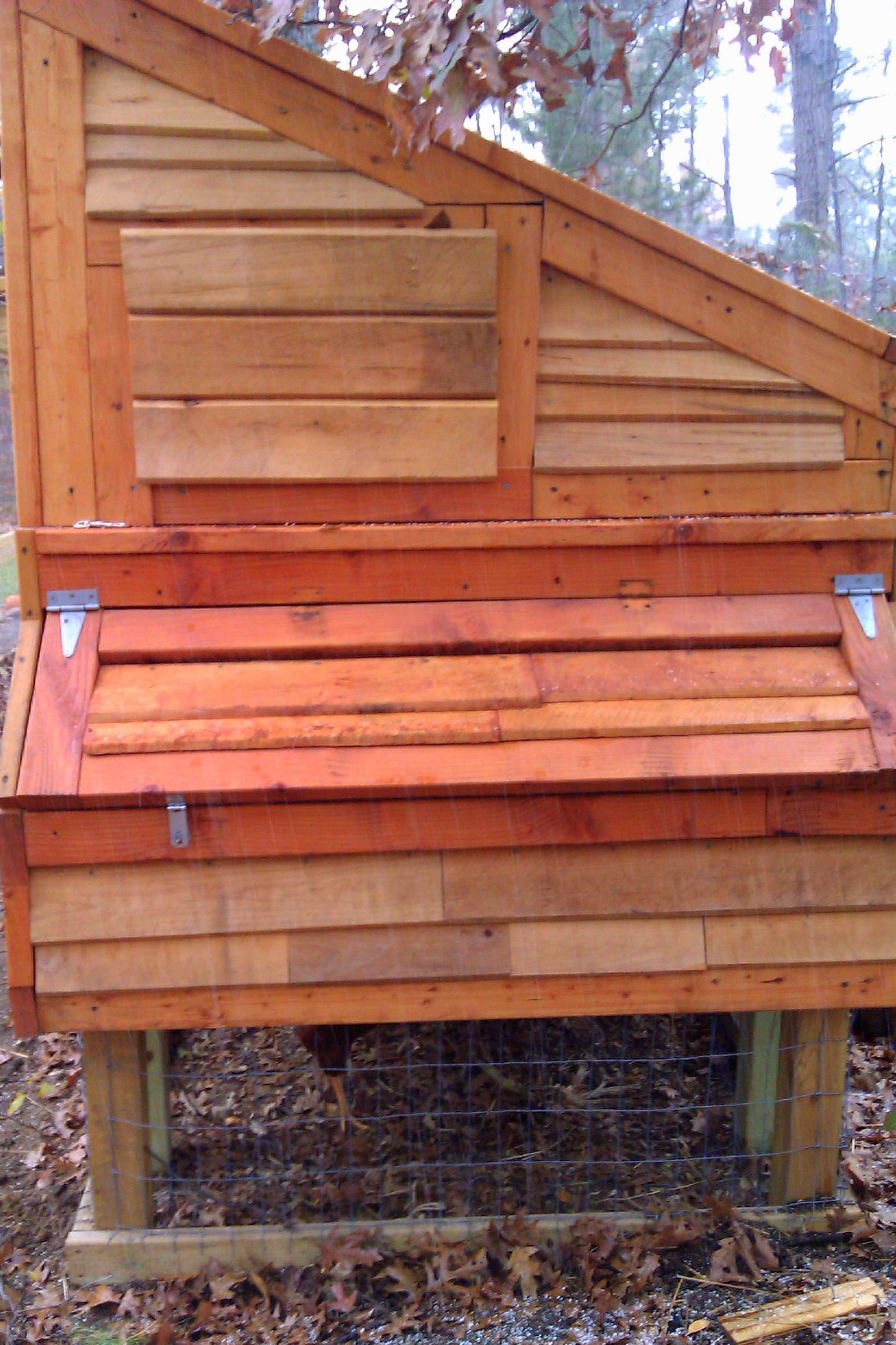Nest boxes and side window